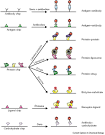 Statistics | Research | Statistical Bioinformatics Center | About ... 