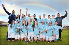 Image result for Skye Camanachd