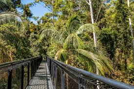 「Mt. Tamborine」的圖片搜尋結果