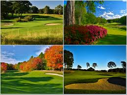 Image result for Prudhoe Golf Club