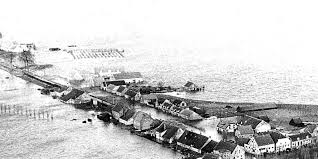 Image result for zeeland 1953