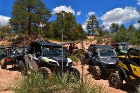 Image result for Tameside Tri Club