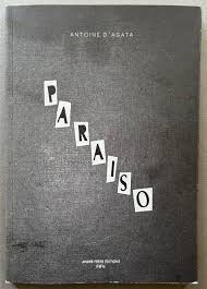 Image result for antoine d