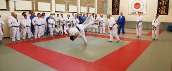 Image result for Samurai Judo Club