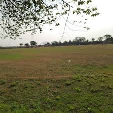 Image result for Cherry Tree Cricket Club