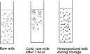 Homogenization