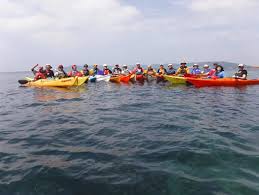 Image result for Port Of Plymouth Canoeing Association