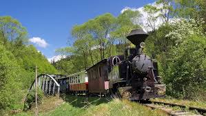 Image result for selvatici tehron