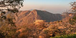 Sajjangarh Wildlife Sanctuary, Udaipur