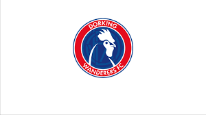 Image result for Dorking Wanderers F C