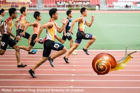Image result for World Snail Racing Championships