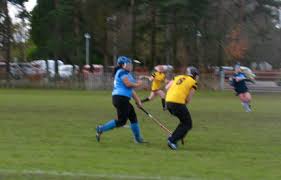 Image result for Cornwall Shinty Club