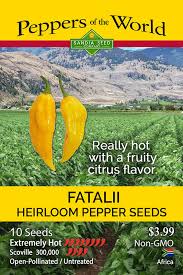 Afbeeldingsresultaat voor yellow fratali hot pepper