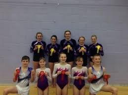 Image result for Swallows Of Helston Gymnastics Club