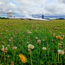 Image result for Devon and Somerset Microlight Club