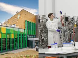 Image result for Aberystwyth University KC