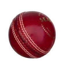 Image result for Seamer Bowling Club