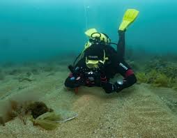 Image result for Plymouth Aquanauts