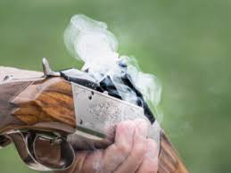 Image result for Gunners Pigeon Shooting Club