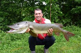 Image result for Esox lucius