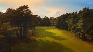 Image result for Blackmoor Golf Club