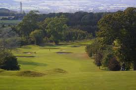 Image result for Carlow Golf Club