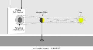 Attēlu rezultāti vaicājumam “Panolis umbra”