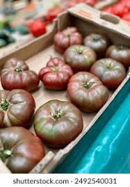 Afbeeldingsresultaat voor purple calabash tomato