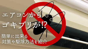 Image result for ゴキブリ報告所