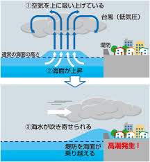 Image result for 高潮 津波 別物