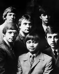 Image result for Easi-RockIts