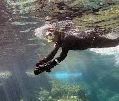 Image result for Darwen Snorkelling Club