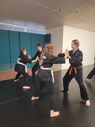 Image result for Tora Dojo