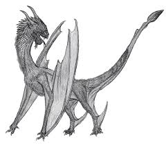 Image result for Wyvern