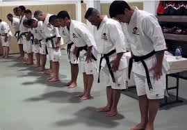 Image result for Professional  Martial Arts Academy