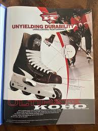 Image result for Vipers Roller Hockey Team