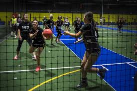 Image result for Sports Centre Netball