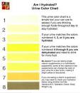 Dark Urine due to excess Beta-Carotene? - PaleoHacks.