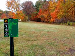 Image result for Ashville College Disc Golf Club