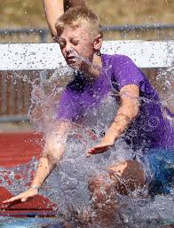 Image result for Exeter Harriers Limited