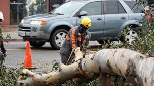 Image result for LPT crossover