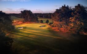 Image result for Hankley Common Golf Club