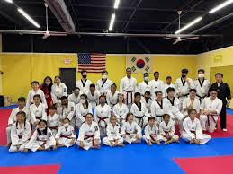 Image result for COMBAT TAEKWONDO