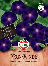 Image result for Prunkwinde