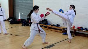 Image result for Haslemere Karate Club