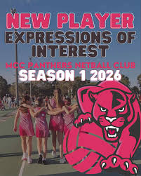 Image result for Onslow Pink Panthers Junior Netball Club