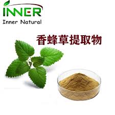 Attēlu rezultāti vaicājumam “Melissa officinalis leaf”