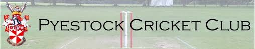 Image result for Peper Harow Cricket Club