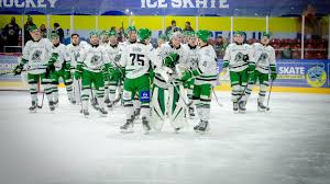 Image result for Basingstoke Bison Ice Hockey Club