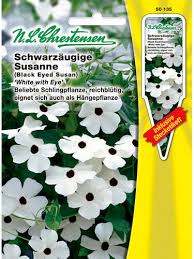 Image result for schwarzäugige Susanne